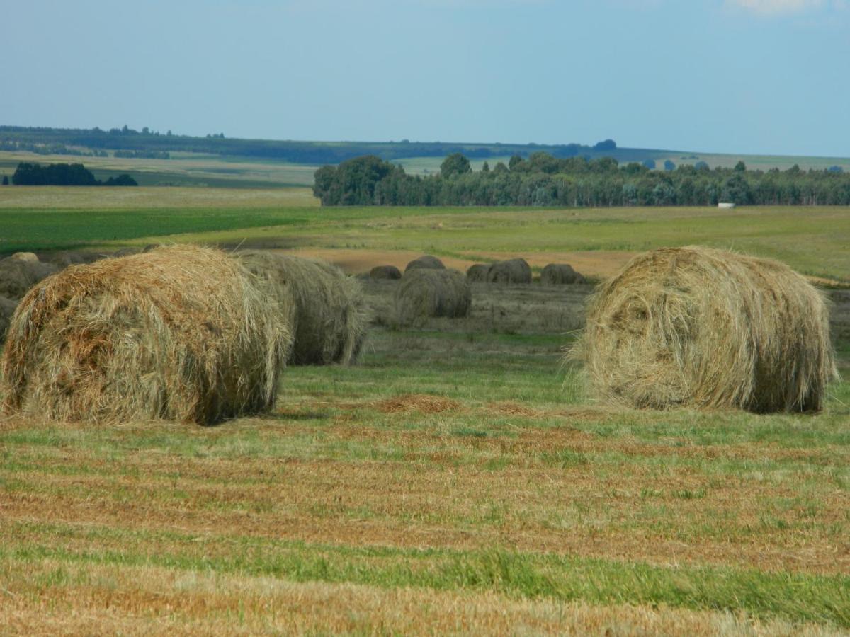 La Vista Farm Stay Ermelo Esterno foto