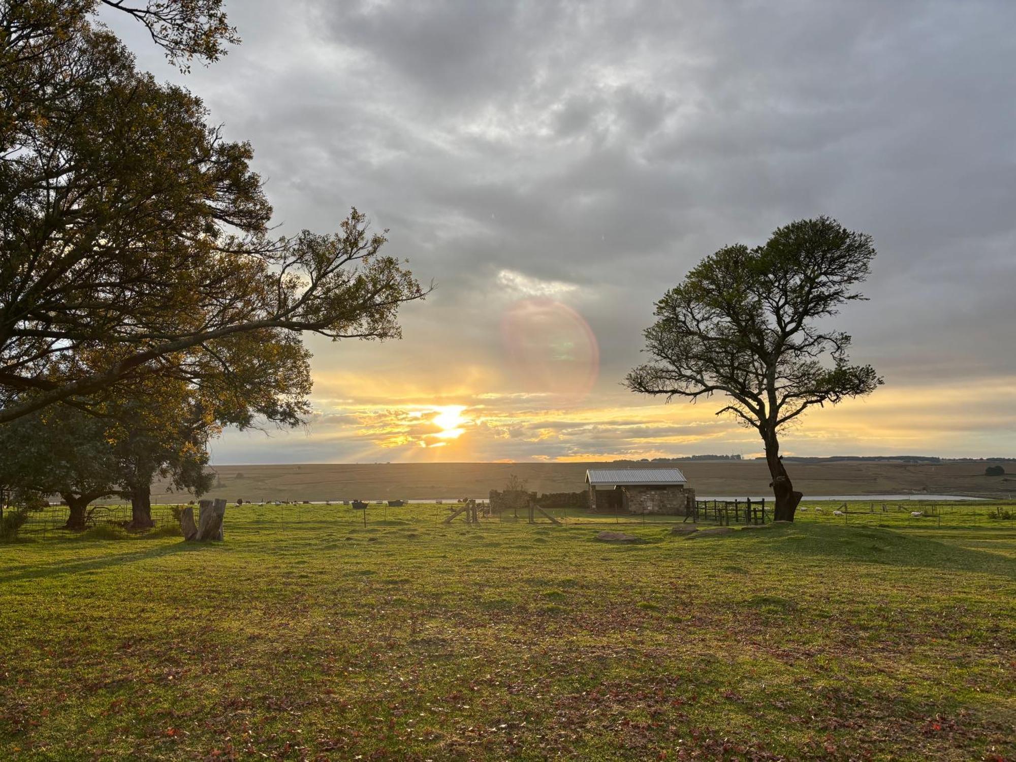 La Vista Farm Stay Ermelo Esterno foto